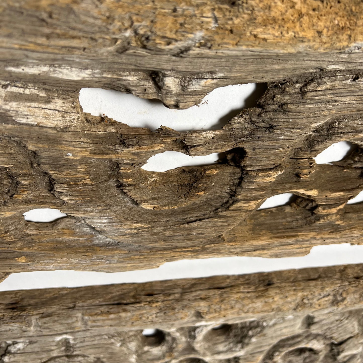 Tudor Oak Bargeboard Carvings c.16th Century