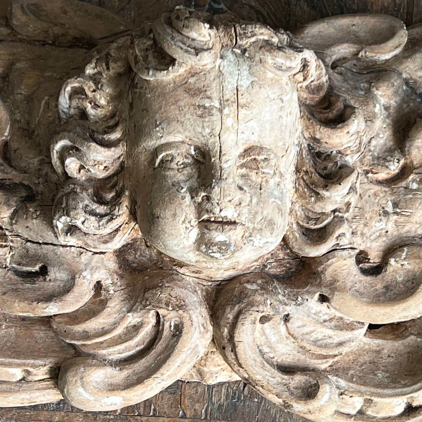 Italian Baroque Carved Limewood Cherub or Angel Carving with Acanthus Scrolls, c.1680–1720