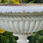 Pair of English Victorian Cast Iron Garden Urns on Ornamented Bases