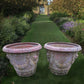 Pair of Large Italian Terracotta Planters with Satyrs Faces