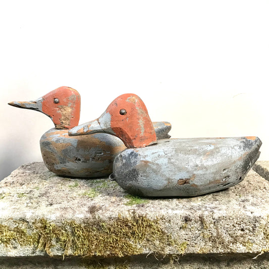 Pair of American Decoy Ducks