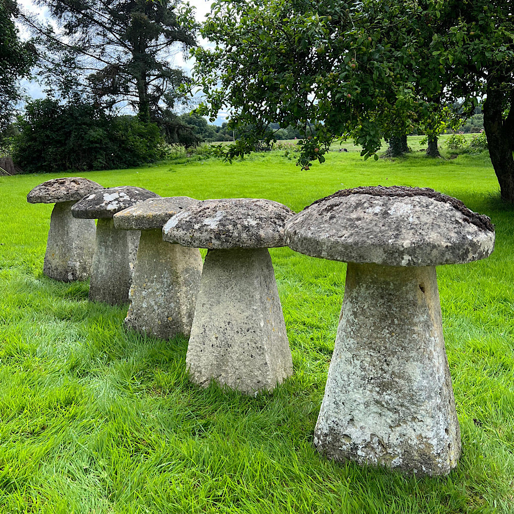 Set of Five Cotswolds Staddle Stones c.1750