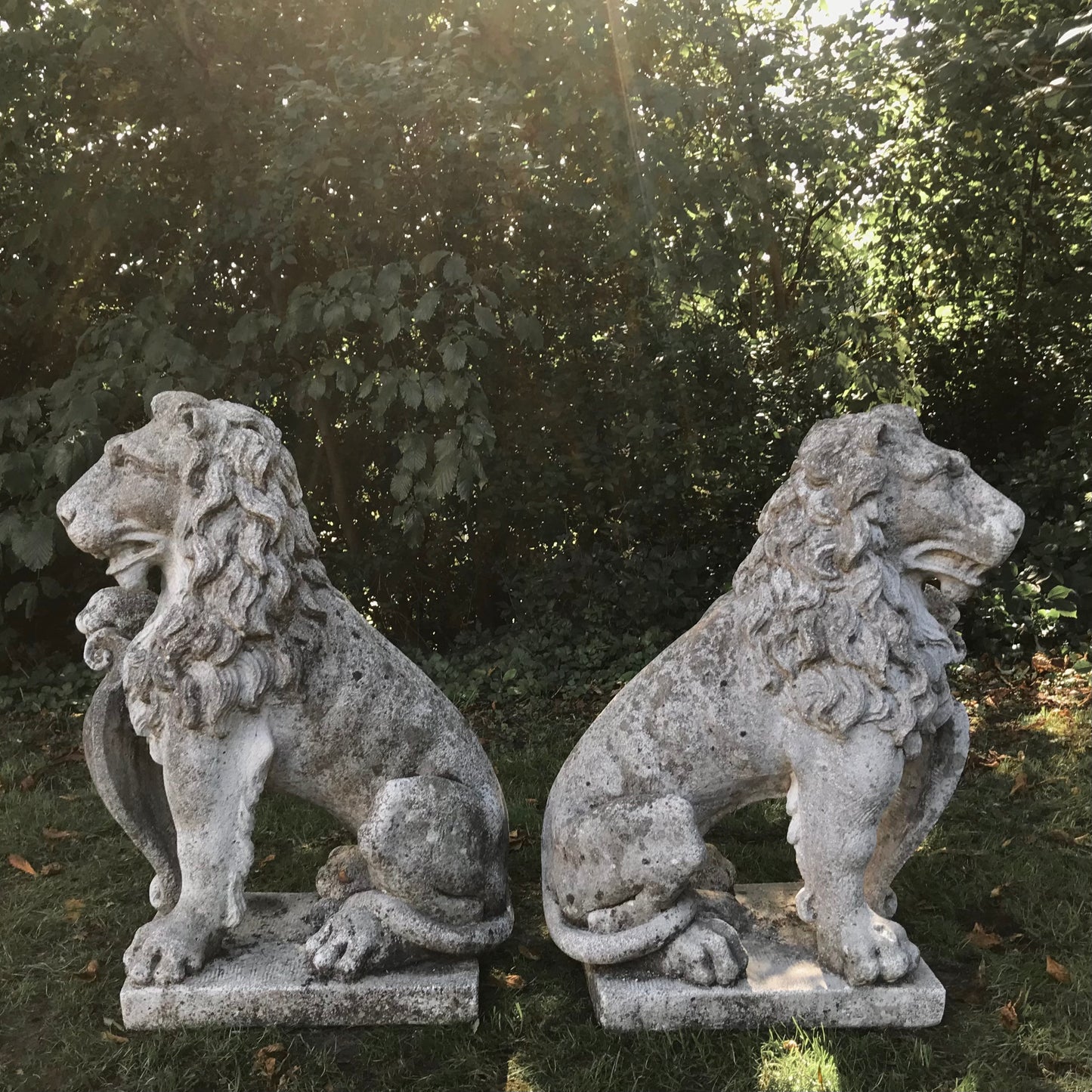 Pair of Impressive Seated Heraldic Lions
