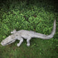 Bronze Alligator Fountain Mid 20th Century