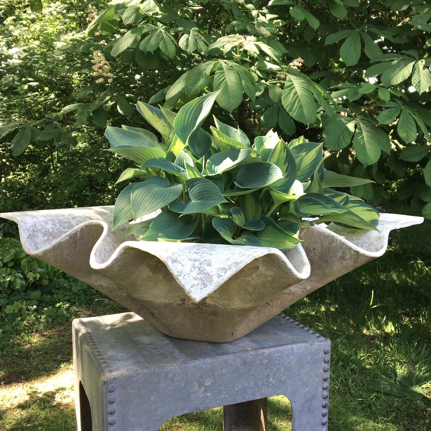 Willy Guhl Extra Large Handkerchief Planter Eternit 1960