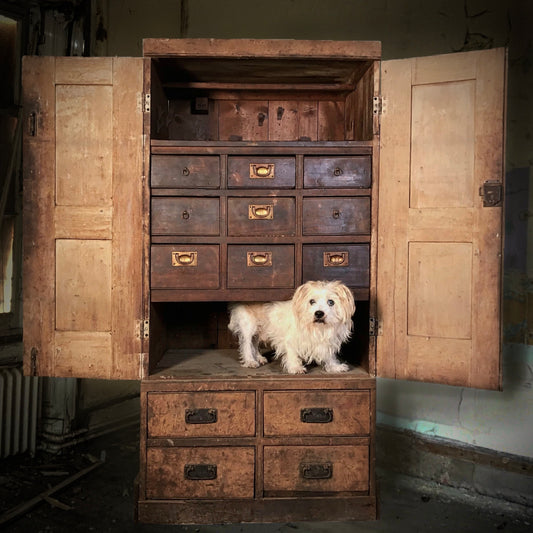 Livery Cupboard c.1860