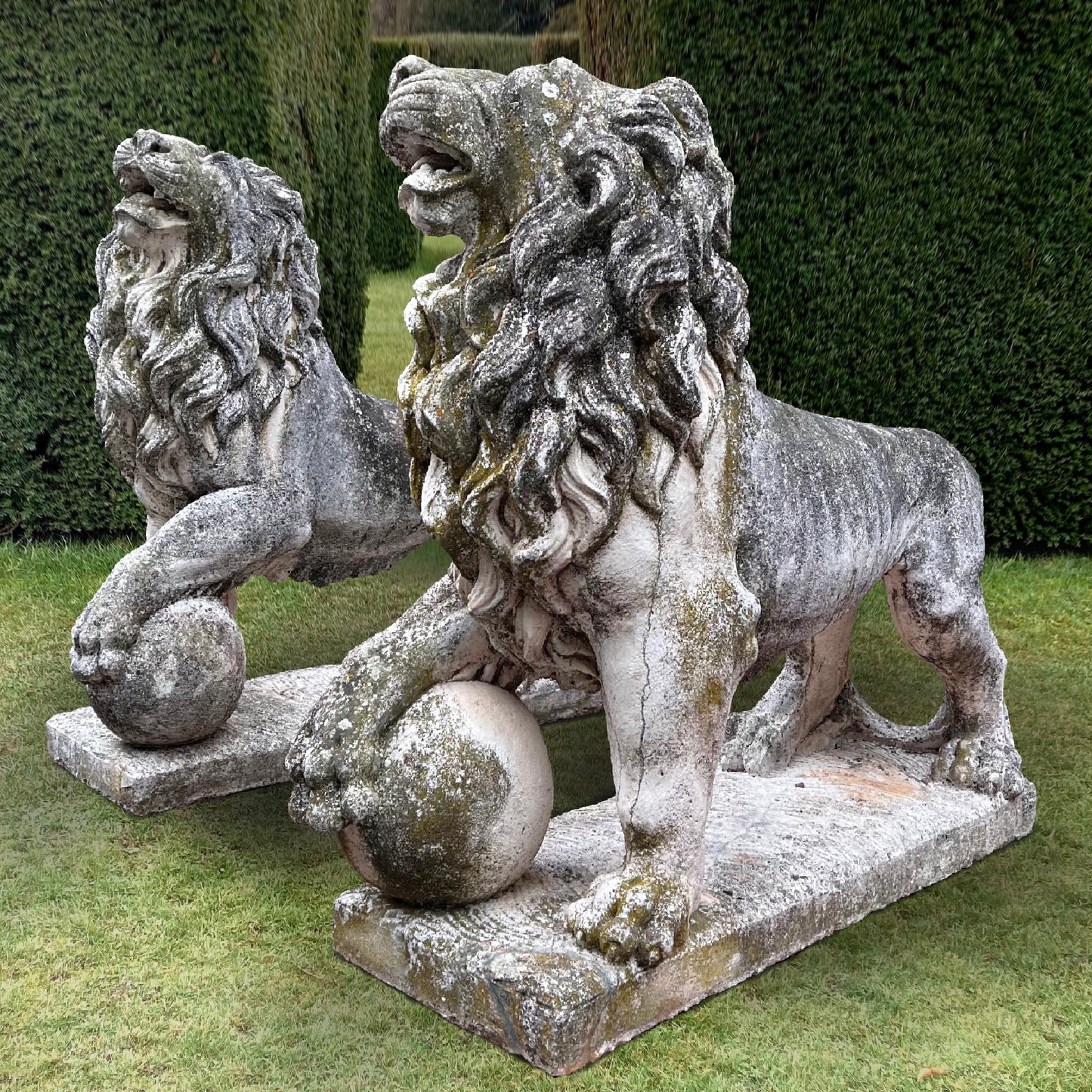 Gigantic Pair of Medici Lion Statues