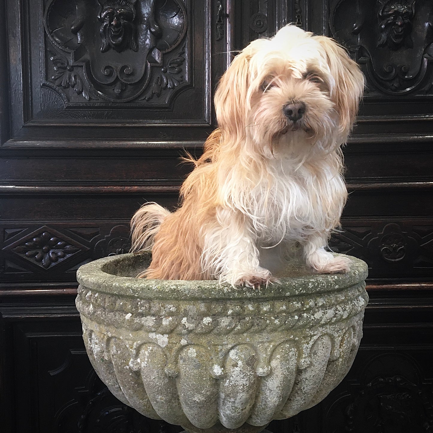 Early 20th Century Composite Stone Urn & Plinth