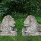 Pair of Recumbent Lions c.1930