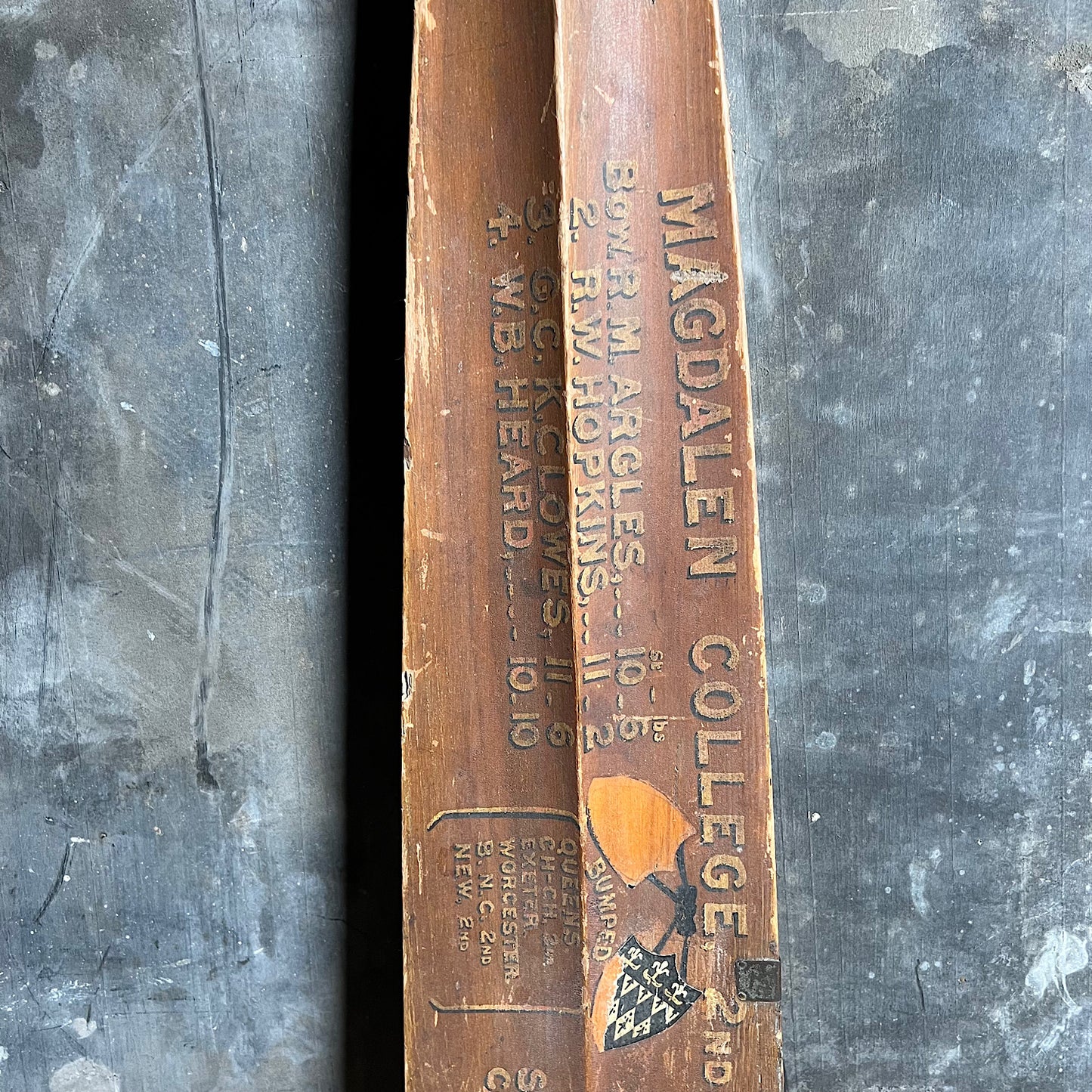 Edwardian Oxford University Presentation Rowing Oar d.1901