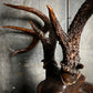 Carved Black Forest Wooden Folk Art Stag Head