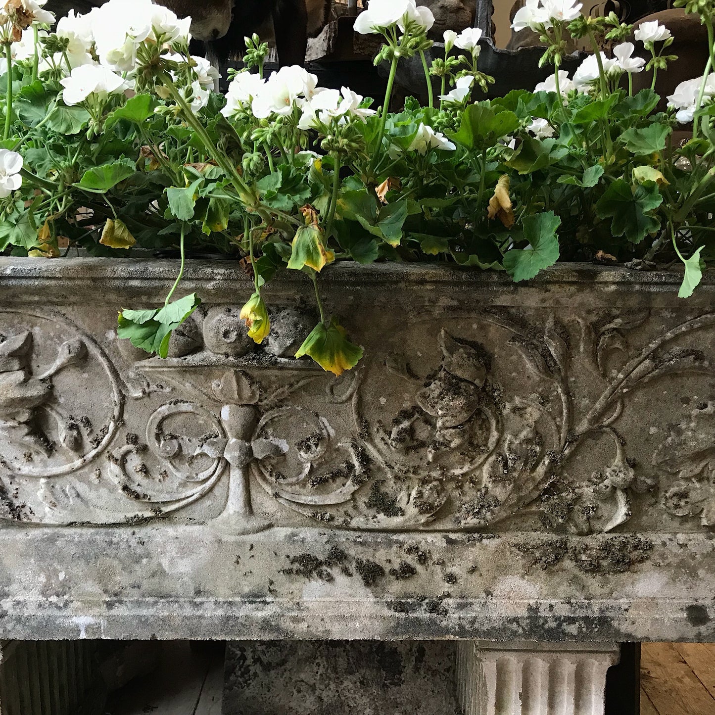 The “Venetian” Planter