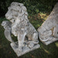 Pair of Impressive Seated Heraldic Lions