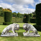 Monumental Pair of Lion Garden Statues