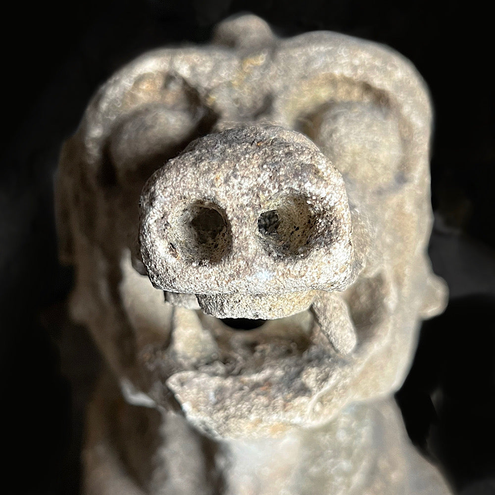 Medieval Limestone Gargoyles