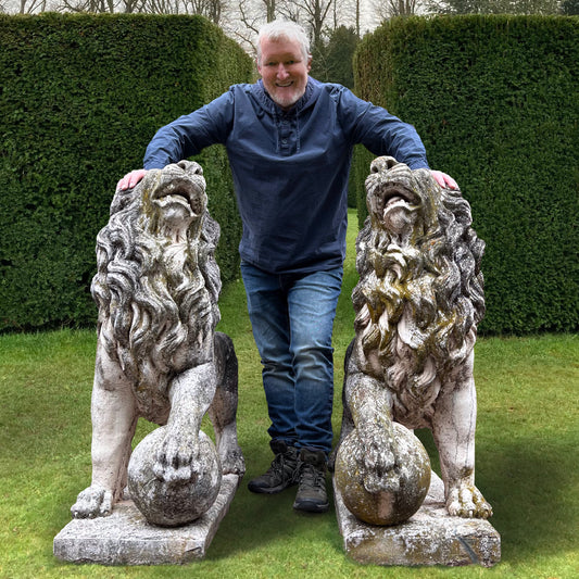 Gigantic Pair of Medici Lion Statues