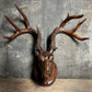 Carved Black Forest Wooden Folk Art Stag Head