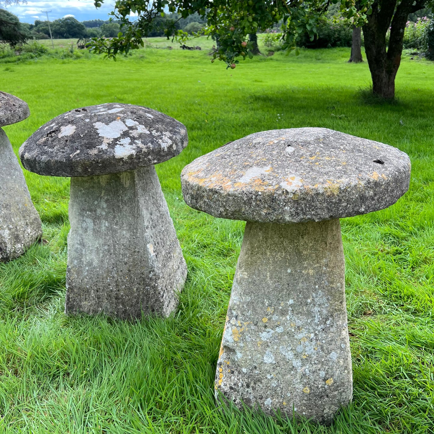 Set of Five Cotswolds Staddle Stones c.1750