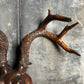 Carved Black Forest Wooden Folk Art Stag Head