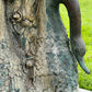 French Bronze Boy Holding Carp Fountain