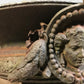 Pair of Grand Scale Cast Iron Urns