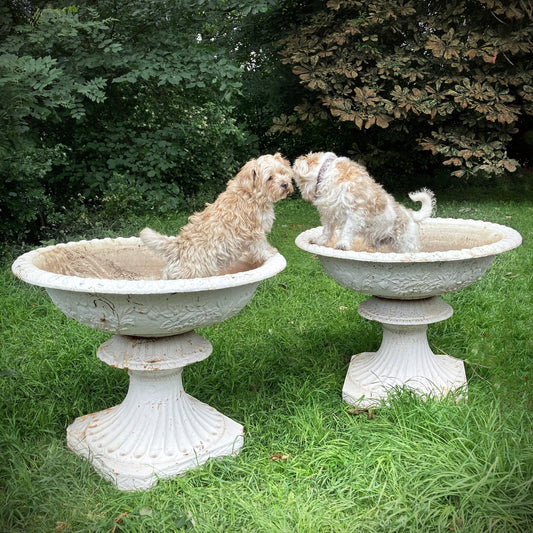 Pair of Grand-scale Cast Iron Urns