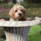 Pair of Huge French Cast Iron Campana Urns