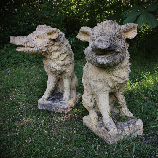 Pair of Wild Boar