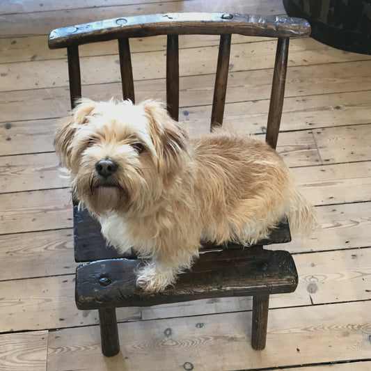 Naive Irish Hedge/Country Chair c.1820