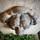 Large Stone Lion Wall Fountain c. 20th Century and Earlier
