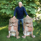 A Pair Terracotta Gatekeeper Lions/ Dogs of Foo
