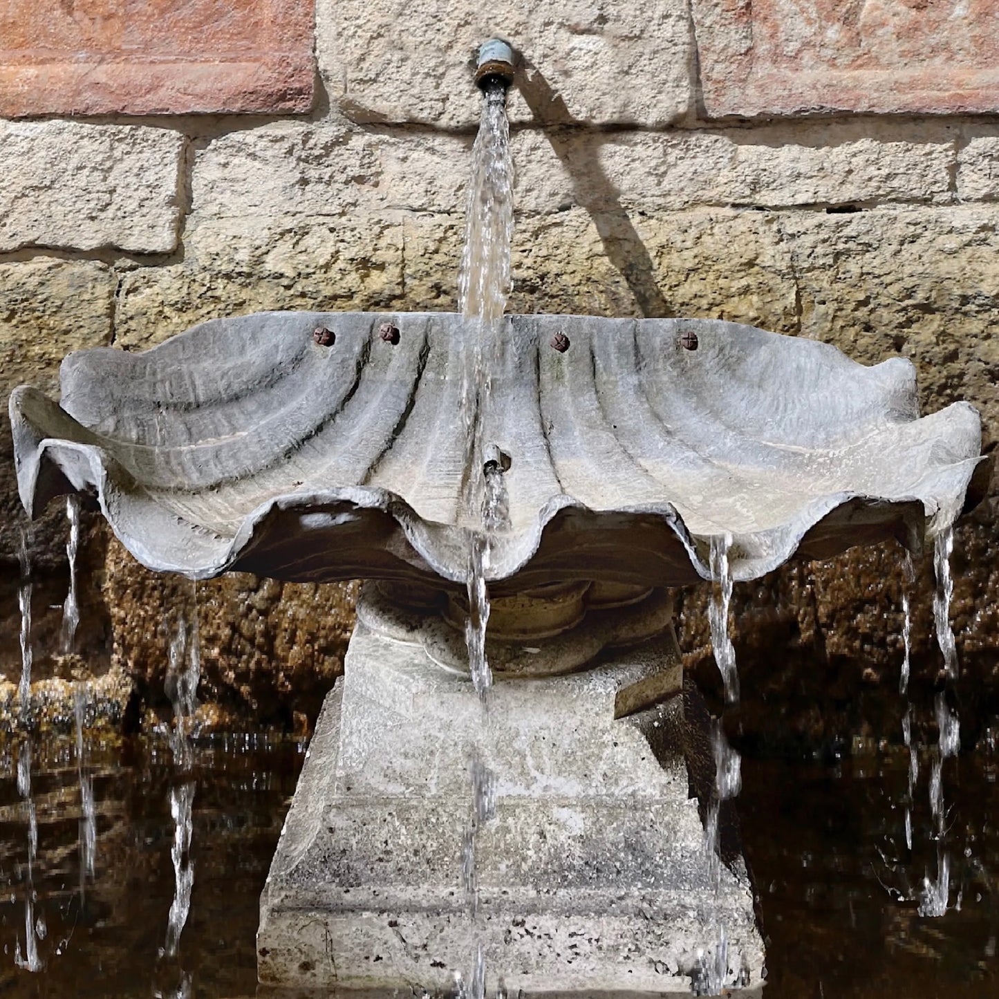 Lead Giant Clam Shell Fountain with Marble Pedestal c.1880