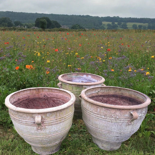 Set of Three Grand Scale Terracotta Urns