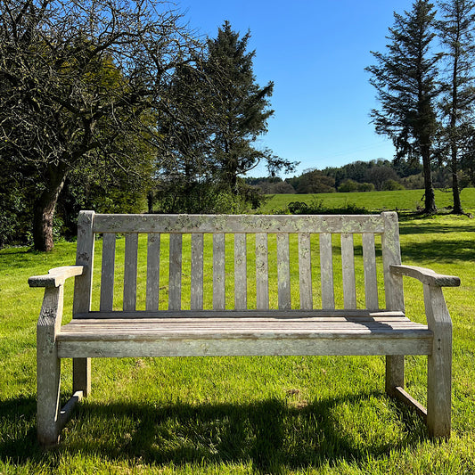 Weathered Teak Bench with Lichens from Crowe Hall