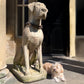 Great Dane Dog Statue with Hand-Forged Chain & Collar