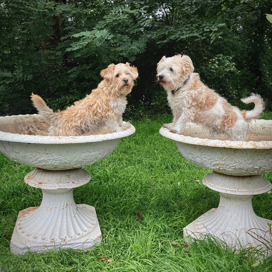 Pair of Grand-scale Cast Iron Urns