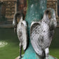 Three Tiered Cast Iron Swan Fountain