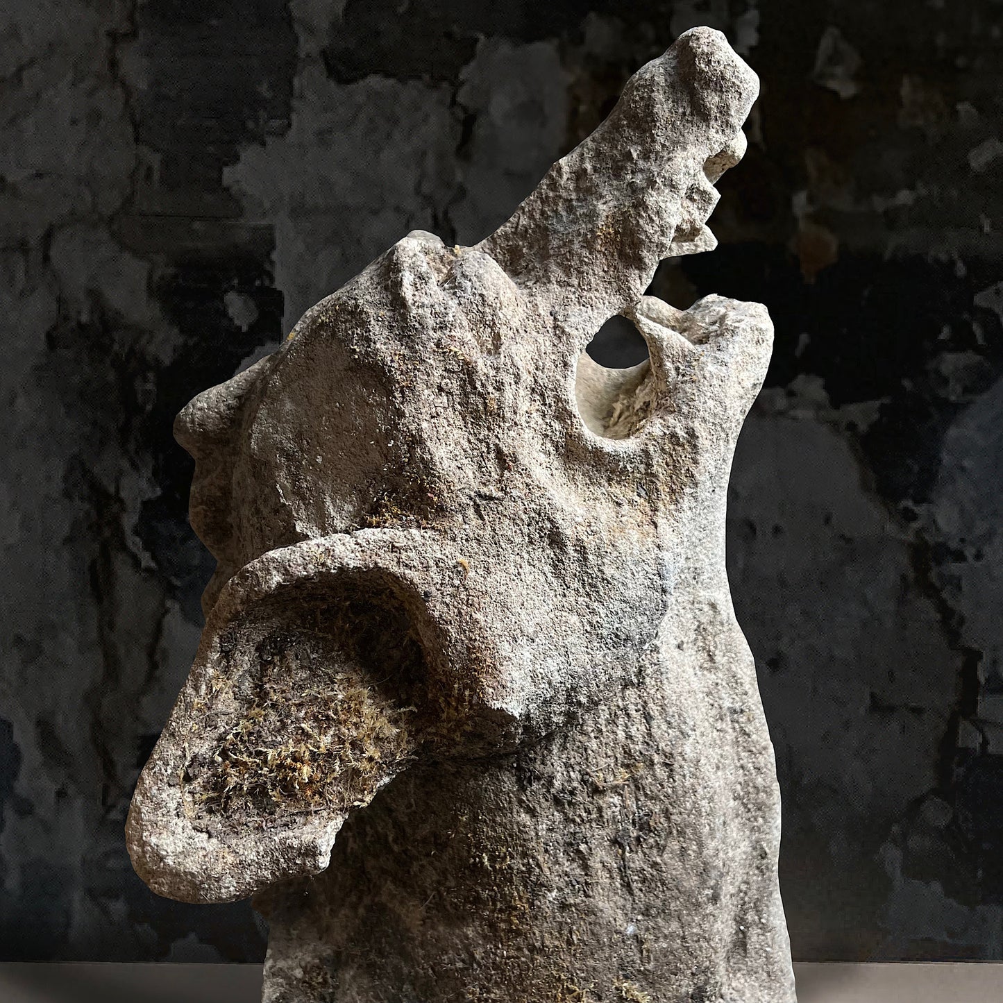 Medieval Limestone Gargoyles