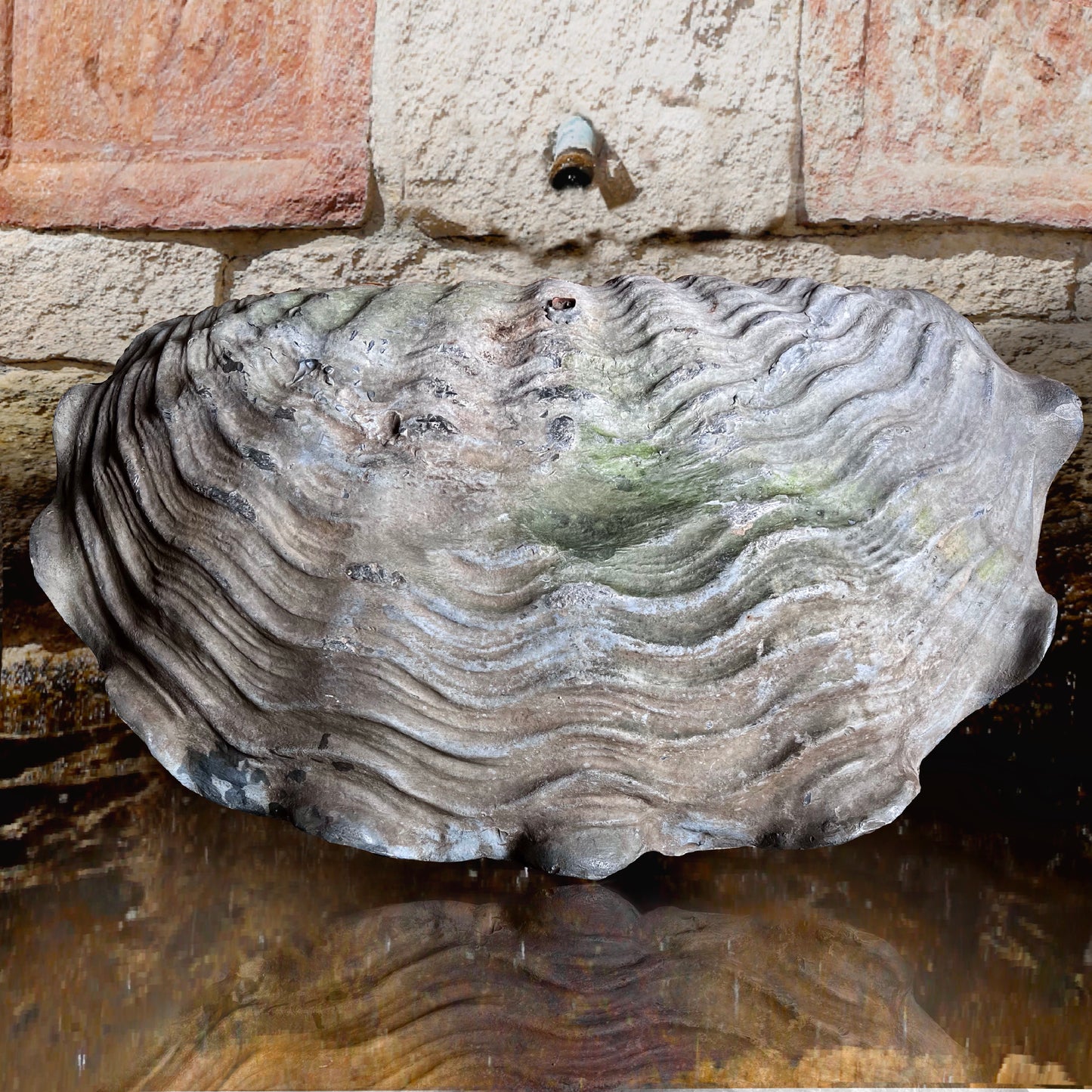 Lead Giant Clam Shell Fountain with Marble Pedestal c.1880