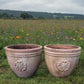 Pair of Rose Motif Italian Terracotta Planters