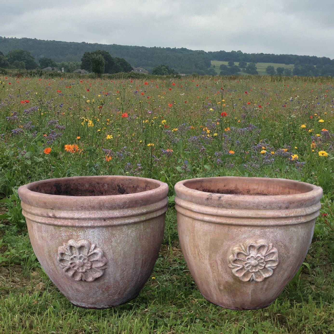 Pair of Rose Motif Italian Terracotta Planters