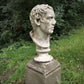 Bust of Emperor Augustus Caesar