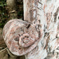 Italian Marble Wall Fountain Head Frieze Early 20th Century