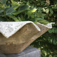 Willy Guhl Extra Large Handkerchief Planter Eternit 1960