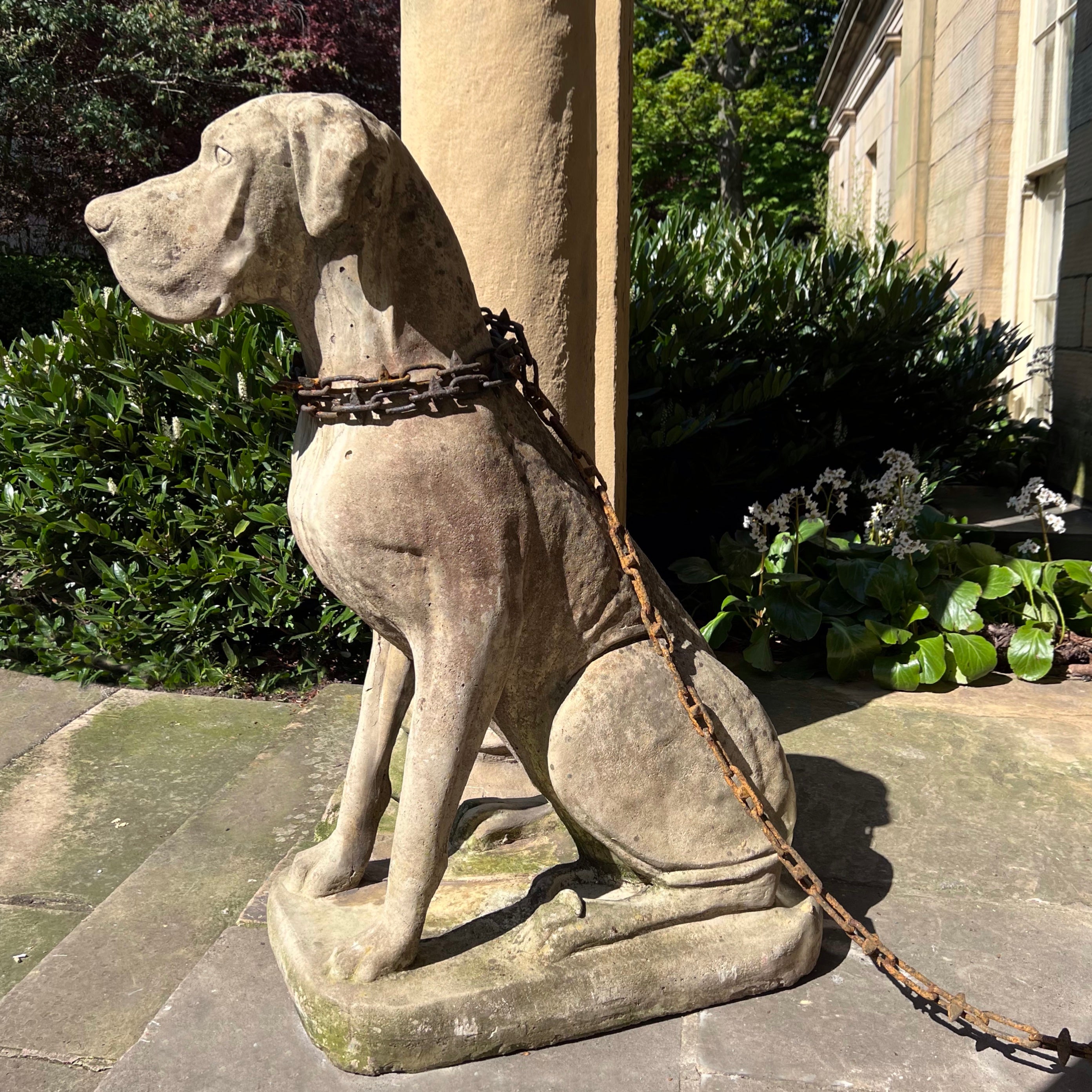 Long dog sale chain for garden