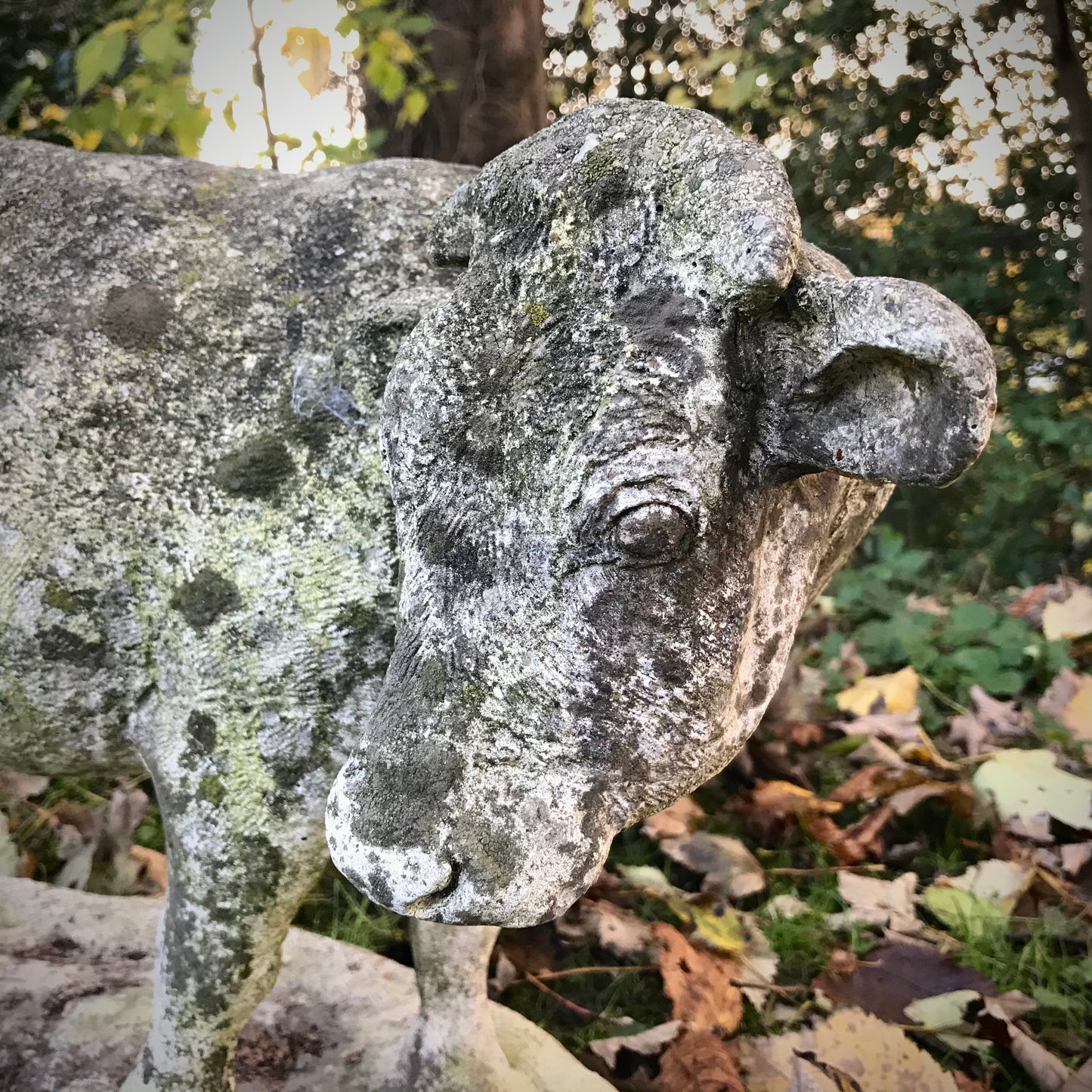 Weathered Cow Statue c.1930