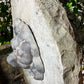Large Stone Lion Wall Fountain c. 20th Century and Earlier