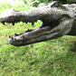 Bronze Alligator Fountain Mid 20th Century