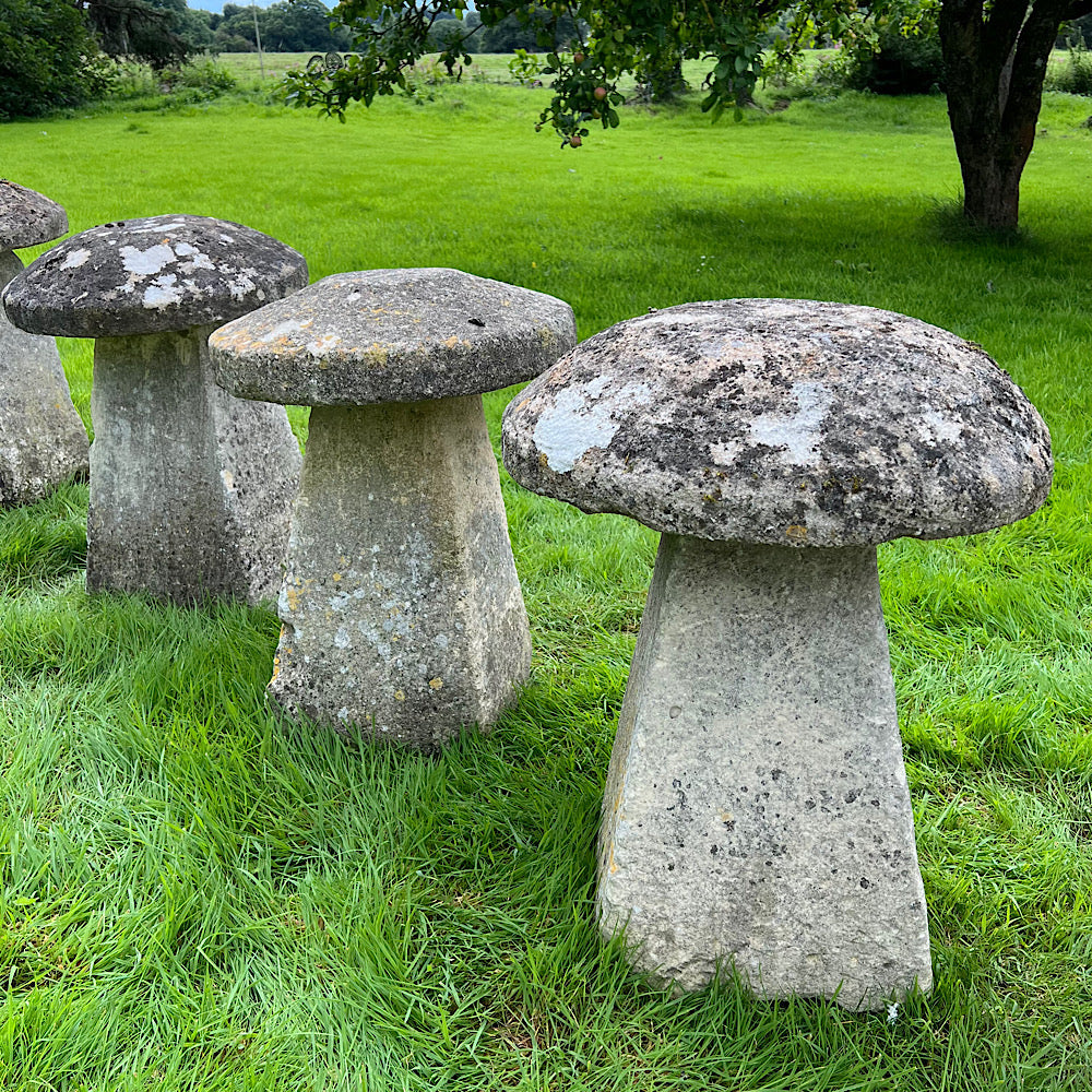 Set of Five Cotswolds Staddle Stones c.1750