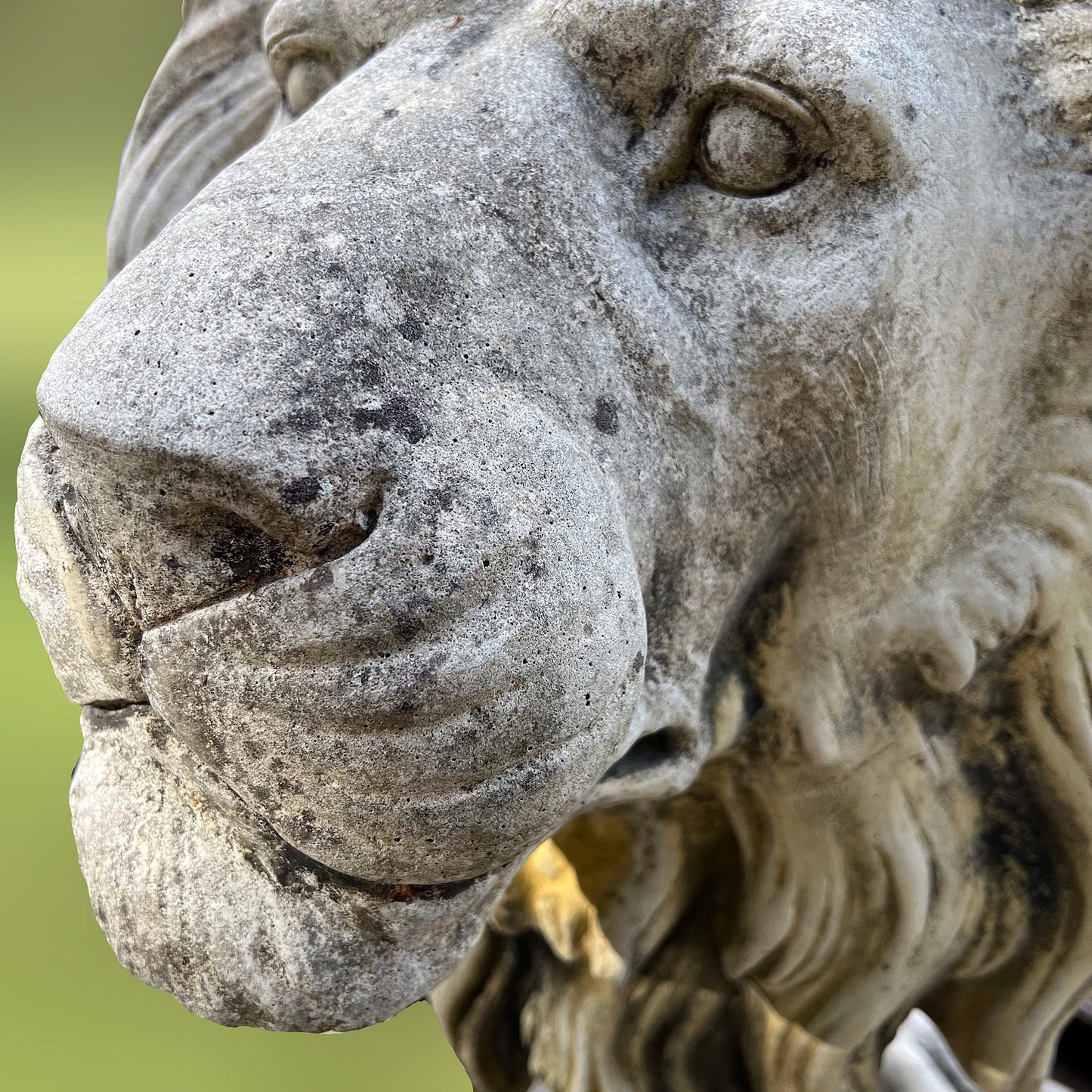 Monumental Pair of Lion Garden Statues